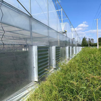 Film de serre multi-chapelles en PE transparent pour tunnel, avec structure en acier galvanisé à chaud, 12 brins, pour l'agriculture, découpe sur mesure