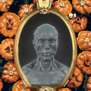 Scultura in Resina Ecologica Dipinta a Mano, Modello Muscolare di Busto <span class=keywords><strong>e</strong></span> Testa Umana per Decorazione Tavola di Halloween - Product Image 3