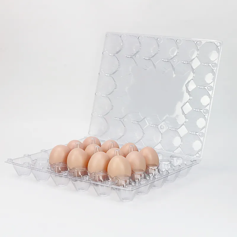 Nampan telur plastik 30 sel untuk ayam