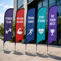 Drapeaux de plage extérieurs portables en polyester, imprimés par transfert thermique, en forme de plume, écologiques, imperméables, durables, avec support en alliage d'aluminium