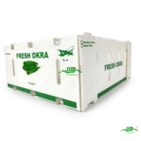 Groothandel Eco-vriendelijke Waterdichte Verpakkingen voor Vers Fruit en Groenten, PP Plastic Golfkarton Okra Omzetdozen