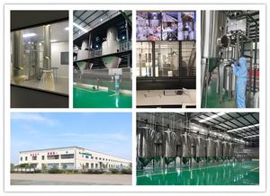 Một 98% <span class=keywords><strong>Stevia</strong></span> lá Chiết xuất với giá bán sỉ ISO Nhà máy cung cấp chất làm ngọt tự nhiên <span class=keywords><strong>Stevia</strong></span> chiết xuất bột rebaudioside - Product Image 5