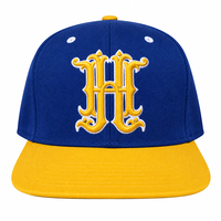 Casquettes Snapback Brodées 3D Personnalisées Bicolores 6 Panneaux Design Logo Vierge Unisexe Vente en Gros Gorra OEM ODM