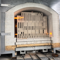 Four à briques au gaz biomasse Brickmac pour la frittage de briques d'alumine, de magnésie et de corindon