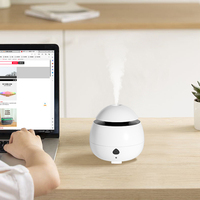 Diffuseur de parfum d'humidificateur d'air domestique bon marché 50ML huile essentielle pour diffuseur d'aromathérapie humidificateurs diffuseur d'arôme