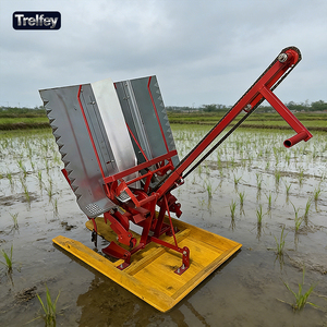 Trapiantatrice di riso manuale facile da usare, seminatrice portatile leggera, attrezzatura agricola <span class=keywords><strong>per</strong></span> colture di riso su piccole aziende agricole - Product Image 1