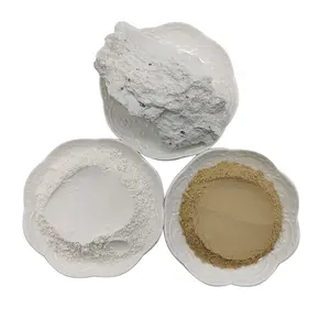 Polvere bianca di Bentonite miglior prezzo di produzione