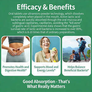 Tiras Probióticas Orales OEM en Stock, Aptas para Veganos, Sin Agua, con Prebióticos CFU, Apoyo a la Salud Digestiva Intestinal para Adultos, Venta al por Mayor - Product Image 2