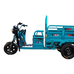 Il nuovo carico di trasporto elettrico agricolo stallo passeggeri e cargo triciclo a doppio scopo