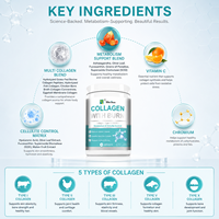 Boisson au Collagène avec Poudre Brûle-Graisse, Soutien au Métabolisme, Complément Beauté, Produits Minceur, Marque Privée OEM ODM