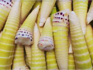 Nature Tender Pieza entera Brote <span class=keywords><strong>de</strong></span> <span class=keywords><strong>bambú</strong></span> en agua Alto 10 ~ 12cm <span class=keywords><strong>de</strong></span> envasado al vacío <span class=keywords><strong>de</strong></span> plástico - Product Image 5