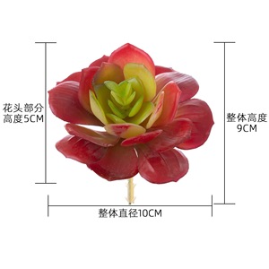 Planta Suculenta Artificial CallaFloral, Paisaje en Miniatura, Decoración de Interiores, Decoración de Bodas, Rojo Otoñal, Verde, PVC, Goma Suave - Product Image 4