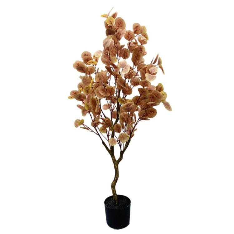 สีน้ำตาล