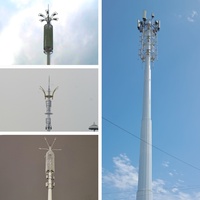 Tour monopolaire en acier galvanisé résistante de télécom de Polonais avec l'échelle de boulons d'étape