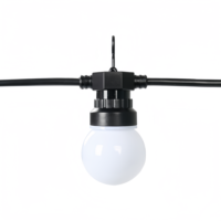 Guirlande LED numérique DC24V, transparente laiteuse, 50 mm, avec pixels RGB RGBW, pour la décoration de festivals