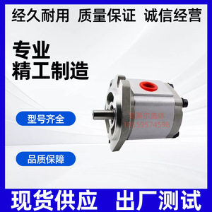 P204 High Pressure Gear <b>Pump</b> 350 <b>Bar</b> 1 Stage Hydraulic Oil <b>Pump</b> For Industrial Use - Product Image 5