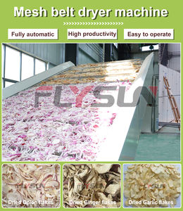 Machine de séchage à bande maillée pour feuilles, personnalisée en usine, pour la déshydratation des feuilles - Product Image 3