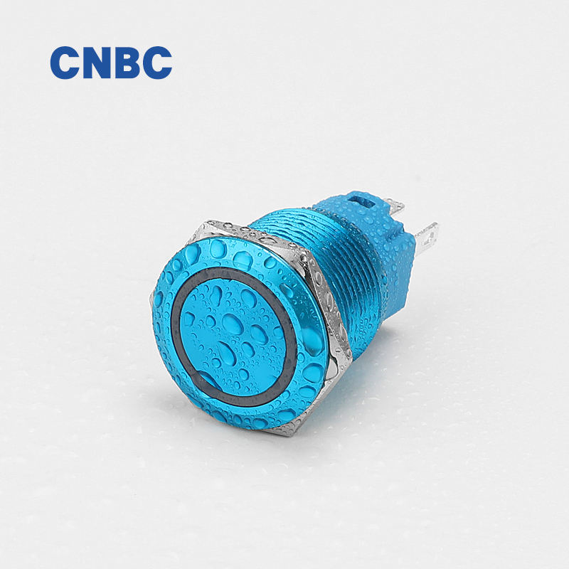 Customized 19mm 5A IP67 Waterproof LED Housing Push Button Switch SPDT 1NO1NC 220V Green Oxidation Black 1NC & 2NO Combination