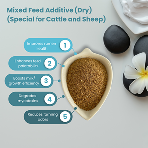 Aditivo para Alimento <span class=keywords><strong>de</strong></span> Rumiantes para la Reducción <span class=keywords><strong>de</strong></span> Metano, Complejo <span class=keywords><strong>de</strong></span> <span class=keywords><strong>Levadura</strong></span> Fermentada y Enzimas, Solución Ecológica para Ganado - Product Image 6