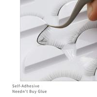 Vente en gros de fournitures de formation de cils, entraînement d'extensions de cils, bande complète, plateau d'entraînement
