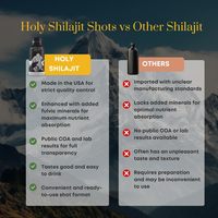 Minuman energi Shilajit dengan mineral alami & asam Fulvic untuk peningkatan energi & kinerja penyegaran Stamina meningkatkan OEM/ODM