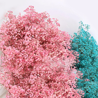 HFloral Fabricant de fleurs conservées et séchées Fourniture du souffle de bébé préservé pour la décoration de mariage