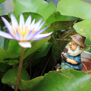 Mini gnomes de pêche dansants pour célébration, 1 pièce, ensemble de gnomes de jardin musicaux pour pots de plantes, jardin féerique miniature - Product Image 5