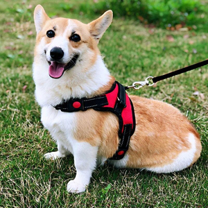 Pet Accessories Adjustable Fashion Nylon Breathable Reflective <b>No</b> <b>Pull</b> Luxury Vest Pet Dog <b>Harness</b> for Dog Cat - Product Image 3