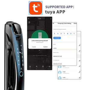 אבטחה אוטומטית לגמרי 3D פנים זיהוי פנים ביומטרי טביעת אצבע tuya wifi דלת חכם מנעול חיצוני דיגיטלי - Product Image 5