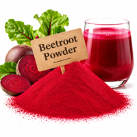Poudre de betterave rouge en vrac pour la vente en gros – Complément alimentaire, nutraceutique, nutrition sportive et marques d'aliments fonctionnels (OEM/ODM)