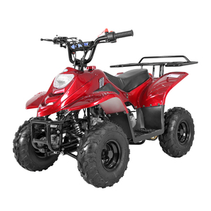 <span class=keywords><strong>Quad</strong></span> Tao Motor BOULDER 110cc à 4 roues, transmission par chaîne, homologué EPA ECE, idéal pour la course et l'agriculture - Product Image 2