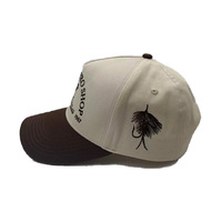 Gorras de Béisbol Bordadas para Hombre y Mujer, Gorra con Bordado 2D Personalizado, Logotipo Bordado Frontal Personalizado, Gorra Trucker Personalizada