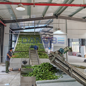 Nueva Línea de Producción de Secado de Pimiento Verde, Secador de Pimiento Verde con Cinta Transportadora de Malla, Deshidratador de Pimiento Verde - Product Image 1