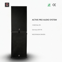 Système de sonorisation professionnel LS-T24N Active Dual 12 pouces Line Array 1000W avec DSP FIR allemand pour DJ