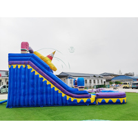 Toboggan aquatique gonflable commercial personnalisé en PVC irisé pour desserts, avec souffleur, pour locations de fêtes, château gonflable, toboggan de piscine gonflable