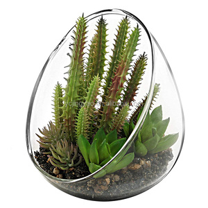 Hand geblasenes Big Mouth Klarglas Luft Pflanze Glas <span class=keywords><strong>Terrarium</strong></span> für Heim-und Büro dekoration - Product Image 2