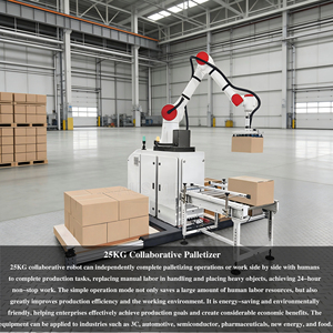 Paletizador Cobot Rentable: Brazo Robótico Colaborativo de 6 Ejes con Motor y Caja de Cambios para Apilado Automático de Cartones (5-6 Cajas/Min) - Product Image 5