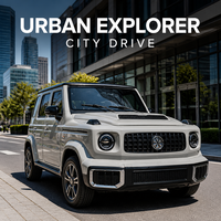 Nouveau mini SUV électrique à énergie nouvelle, apparence robuste, batterie longue portée pour le transport personnel des adultes