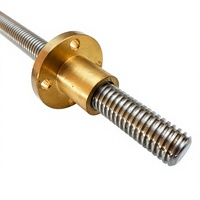 Vis à billes miniature en acier inoxydable de haute précision, type T, avec écrou à filetage laminé, longueur 100-5000 mm, petit moteur de roulement CNC 3D