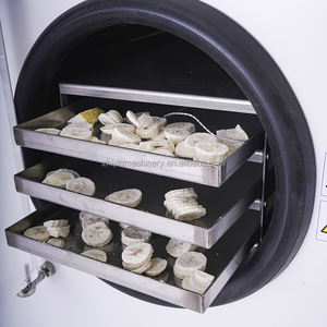 Mesin pengering beku air Dewater vakum iris buah rumah tangga peralatan pengering makanan hewan peliharaan Hydration <span class=keywords><strong>Processing</strong></span> Lyophilizer Frozen - Product Image 6