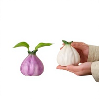 Vase artistique en céramique pour plantes hydroponiques, design moderne et simple, entièrement fait à la main, décoration pour salon et bureau