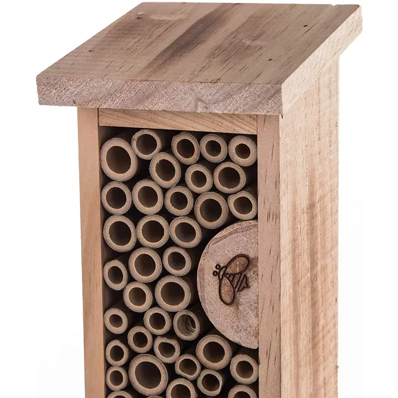 Casa de abejas de madera Natural para insectos, decoración de abejas, hotel, mariposa, alta calidad