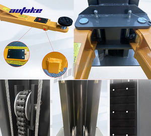 Электрические 2-полюсные автомобильные Лифты - Product Image 6