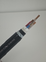 Câble d'alimentation blindé en acier isolé XLPE 0,6/1 kV 3+1 conducteurs en cuivre GB/T 12706