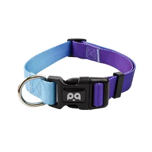 Customize Waterproof Shock Luxury Training Collar And Leash Set Collares Leashes Dogs Collar