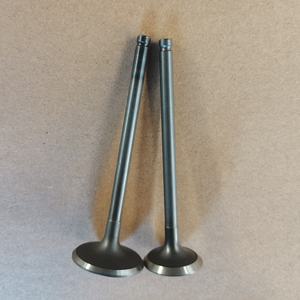 Pièces de moteur F4R Soupapes de moteur 7701474287 7701474286 Utilisé pour Renault ESPACE <span class=keywords><strong>Megane</strong></span> 2.0 16v - Product Image 2