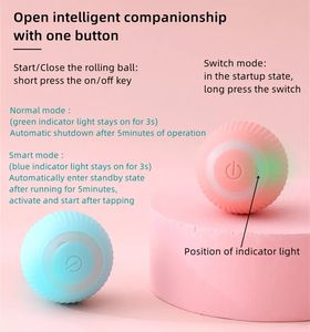 Di alta qualità rosa blu intelligente palla di rotolamento elettrico giocattoli interattivi del gatto per la formazione auto-movimento gattino giocattoli - Product Image 4