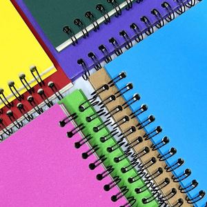 สมุดบันทึกแบบสันห่วง Paper Junkie Eco-Friendly ขนาด 6"x8" แบบมีเส้นบรรทัด พิมพ์ลายซิลค์สกรีน สำหรับเขียนงานเรียนหรือเป็นของขวัญส่งเสริมการขาย - Product Image 2