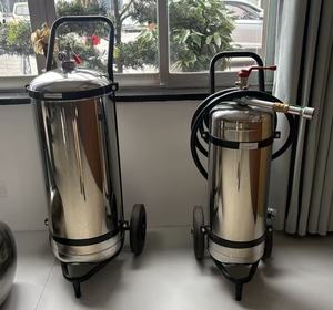 Estintori a Carrello Personalizzati a Polvere Secca/Schiuma/a Base d'Acqua, Attrezzature Antincendio in Acciaio Inossidabile con Ruote - Product Image 3