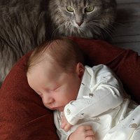 Reborn-Puppe für Wish 43cm PVC Mohair-Haartransplantation Grenzüberschreitende Lieferung Simuliertes Baby Sunnyfan W-017LV